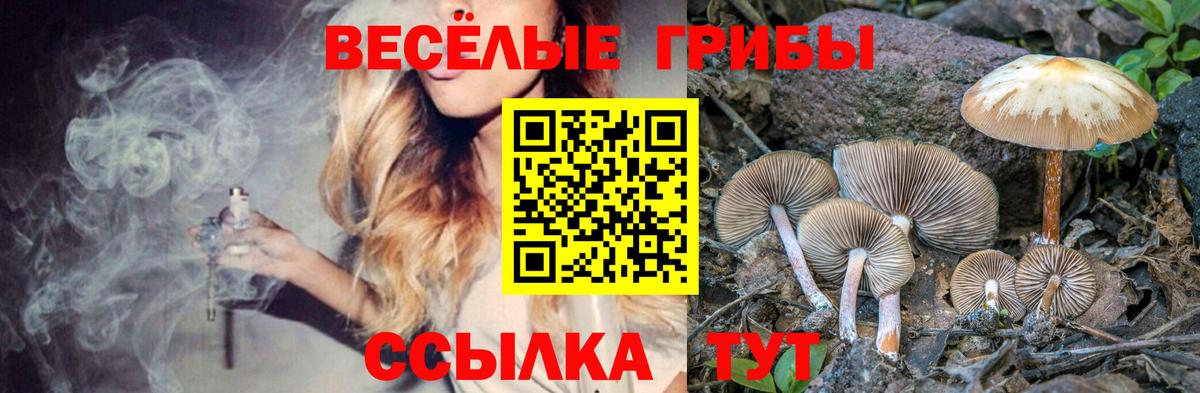Галлюциногенные грибы ЛСД Полысаево